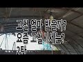 [신선한 경제] 고철·폐지 값 오르니 고물상 ´북적´ (2022.04.28/뉴스투데이/MBC)