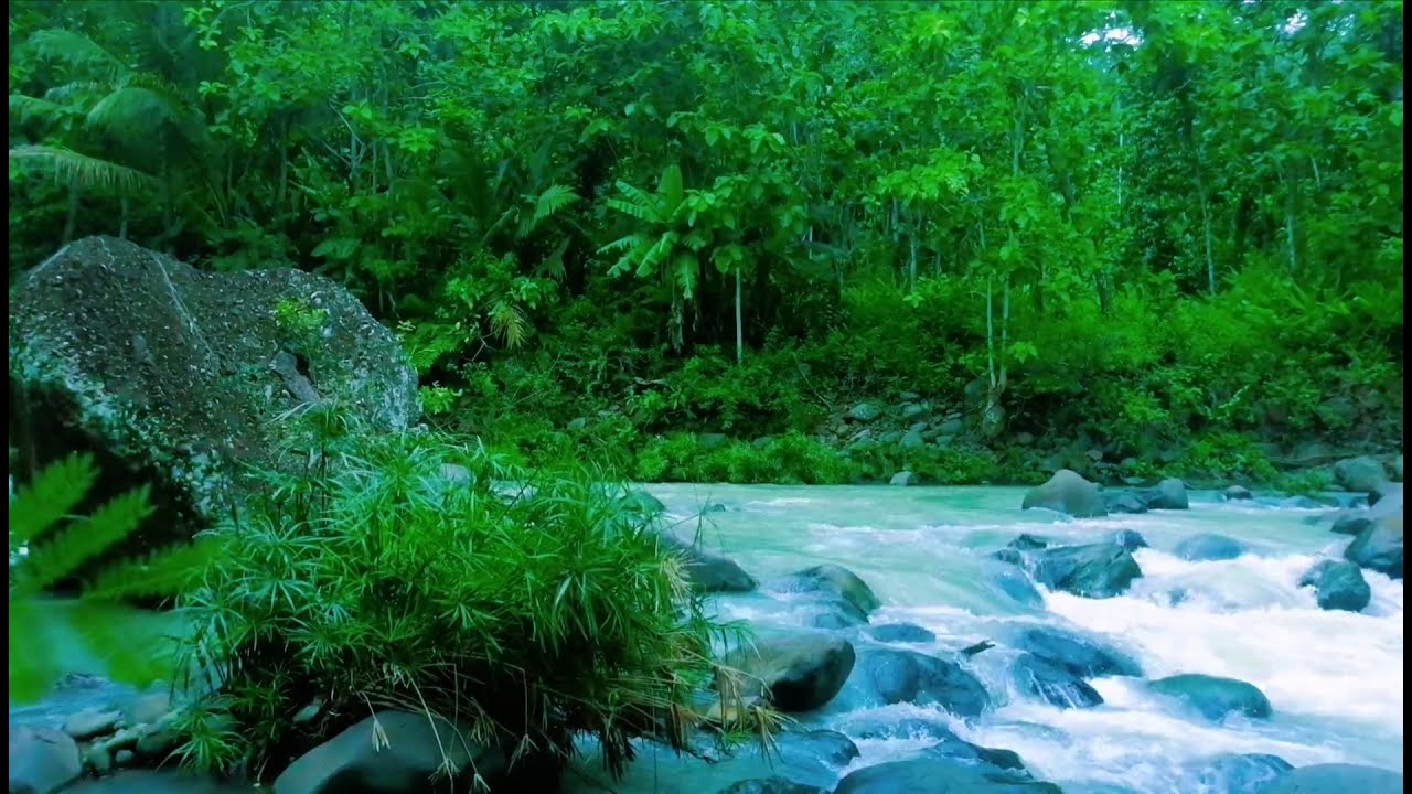 Beautiful Relaxing River  Nature Sounds Sleep Meditation Study Stress Relief Mindfulness