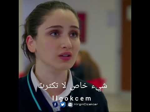 غيرة سونجول وجوناي على بعض الازهار الحزينة