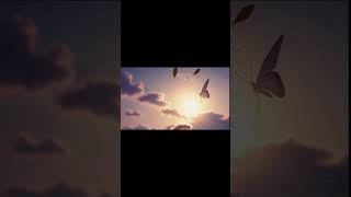 #butterfly #music #butterflies #sunrise #sun #sunrise #sunset #sunday #sunnah #sun  #sunoai