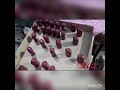 Nail polish cap printing machine