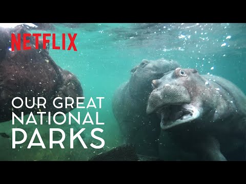 ヒッポ海を渡る　7か国　Hippo Goes Overseas ヒッポ海を渡る 7か国 Hippo Goes Overseas hq720.jpg?sqp=-