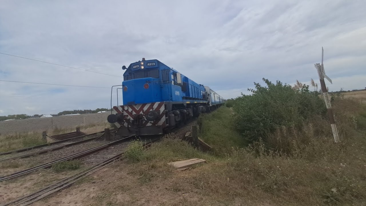 TREN 303 A CARGO DE LA GT22CW-2 A919