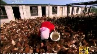 走遍中国 《走遍中国》 20120423 天赐大河