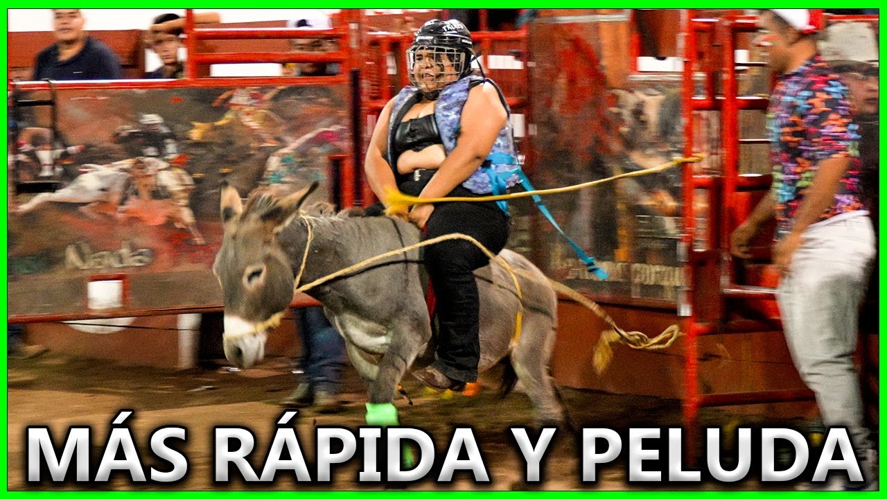 CUANDO EL BURRO SE DESATA, NI ÉL SABE A DONDE VA.