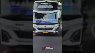 Download Lagu jj basuri piala dunia Kids panda jb5 tunggal jaya MP3