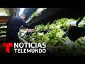 Alerta por presencia de E.coli en lechuga vendida en Walmart | Noticias Telemundo