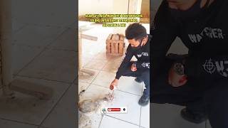Kisah Haru‼️ Ketika Mas Adam Kasih Makan Kucing Buangan | OFFICIAL Shorts Video #shorts #viral