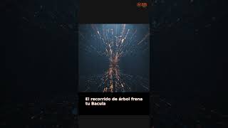 Whitepaper técnico — PodHeitor Ransomware Detection + Acelerador para Bacula