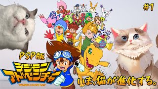 【#デジモンアドベンチャー】（PSP）いま、猫が進化する。【新猫Vtuber】＃1