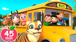 Wheels on The Bus Song (Animal Version) | Newborn Baby Songs & Nursery Rhymes