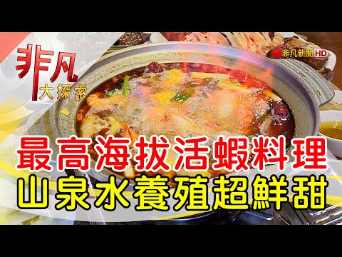 清境最高海拔活蝦餐│南投美食必吃│雞大王活蝦啤酒城【非凡大探索】2024.07.07