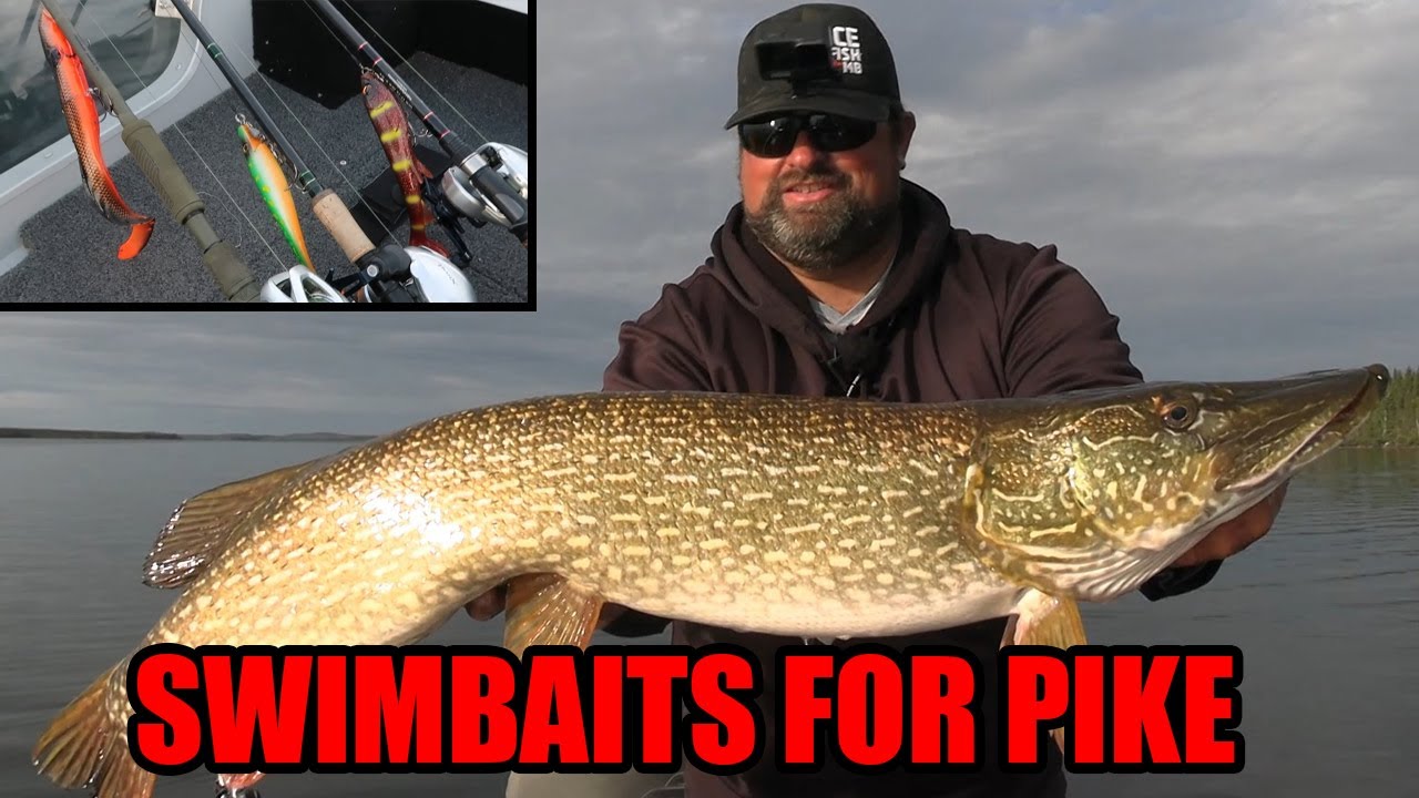 Fishing Swimbaits for Big Pike 