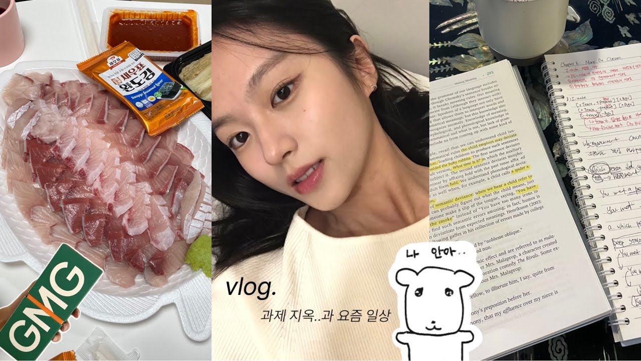 vlog. 멋진과제..ㅋ | 과제 지옥이 되.. • 방어 먹고 막창 먹고🤤 • 식물성 비건 콜라겐