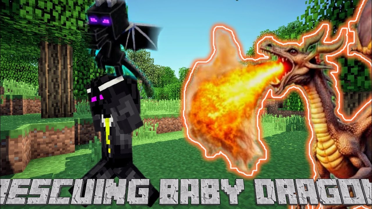 "Saving a Baby Dragon from the Evil Overlord!"
