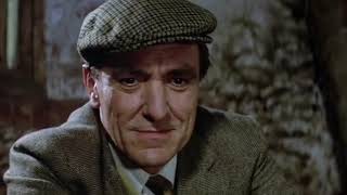 The Belstone fox (1973)