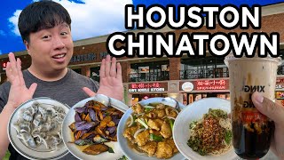 Chinatown Food Tour In Houston, TX | Qin's Noodle Kitchen + Xing Fu Tang | Chinese Food In Houston screenshot 5