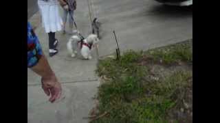 easter 055.MOV