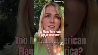Too Many American Flags In America?