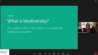 Virtual Lunch & Learn Series: March - Biodiversity Basics
