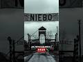 Najgroźniejsza polska sekta lat 90. Piekło w "Niebie"