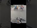 Bike Ride 😎💯💥 #automobile #motorcycle #rider #biker #bikerider #bikelover #youtube #shorts