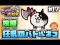 【switch/ふたりで！にゃんこ大戦争】＃17 -狂った斧戦士！狂乱のバトルネコ攻略！-【スイッチ/実況プレイ】