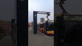 Linia 111 Esperanto