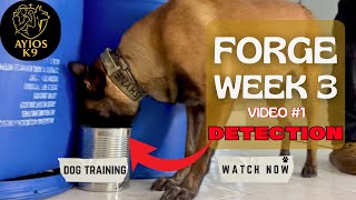 10 Detection Dogs Searching - Stella & the Pack 🔍💥