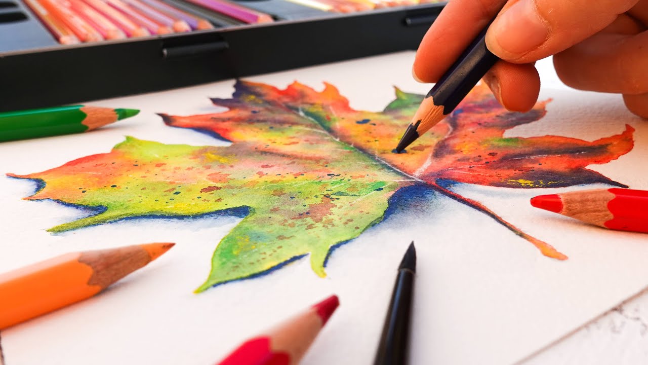 HOW TO USE WATERCOLOR PENCILS: Beginner's Guide 