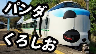 （９）パンダくろしお号 普通車指定席の旅【紀伊半島１周旅行】