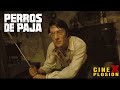 PERROS DE PAJA (1971) | TODOS TENEMOS UN LÍMITE