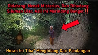 Asli Uji Nyali Paling Merinding, Lembah Jin Eyang PETRUK Gunung Tilu Ngamuk Tak Terbendung