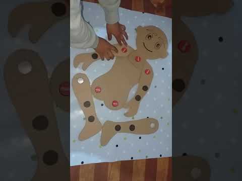 مجسم جسم الانسان لدرس الحركات الاطراف والمفاصل