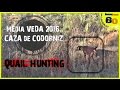 CAZA de CODORNICES con PERRO en MEDIA VEDA #1 | QUAIL HUNTING with DOG