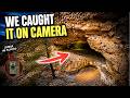 I Put a Hidden Camera in a Remote Cave… What Came Out Wasn’t Human - TheOuterRange