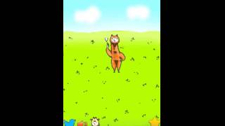 Alpaca evolution