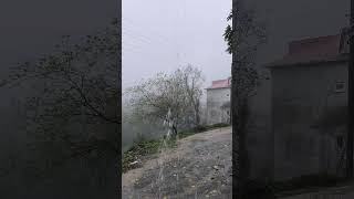 Heavy rain on the road in the countryside | Check Out Our Popular Snow Sound