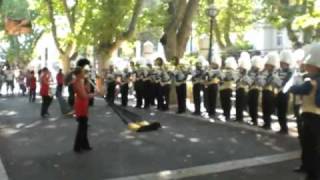 Corso de la Lavande 2009 - Digne les Bains