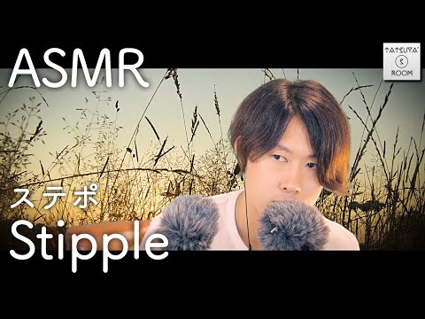 【ASMR】stipple ステポ【音フェチ】