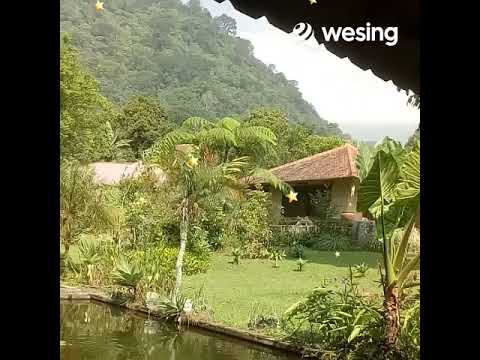Lamunan