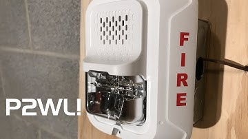 System Test 19: P2WL!