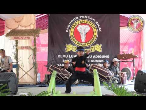 Tepak Palered - Zeryan ( padepokan Giri Paksi )  Gadjah Putih Mega Paksi Pusaka