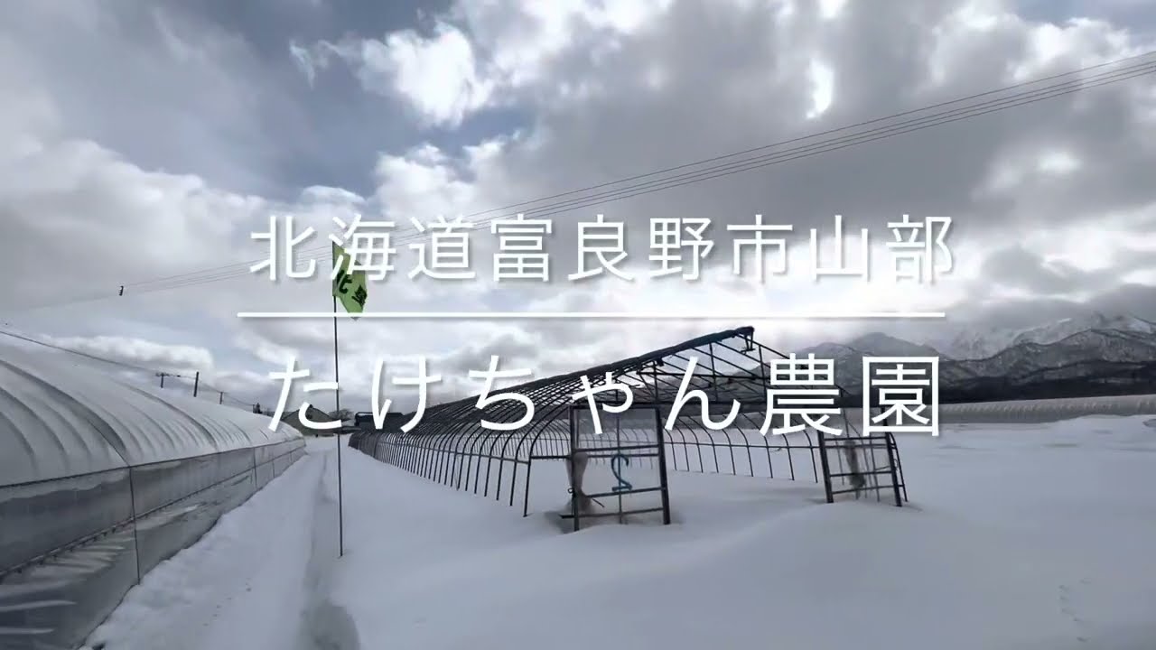たけちゃん農園始まるよ 予告 農業 北海道 グルメ 札幌から富良野へ 週末 通い畑で野菜作り 無農薬 美味しい野菜作れるといいな Youtube