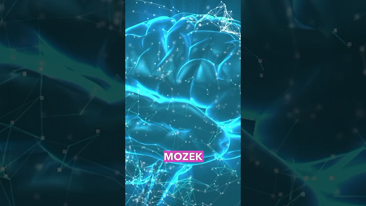 Kolik dat váš mozek pojme? #shorts