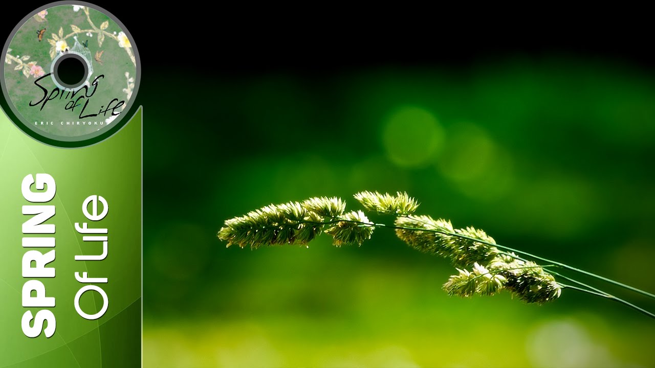 Watch Eric Chiryoku - Silent Wind || Spring Of Life on YouTube Watch Eric Chiryoku - Silent Wind || Spring Of Life on YouTube