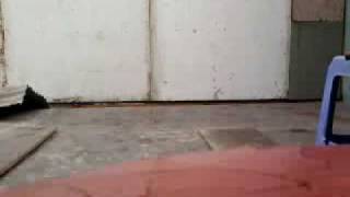 Dando Jugo Con La Kizna