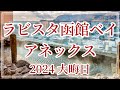 [ 最新版 ] ラビスタ函館ベイアネックス 2024大晦日