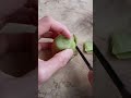 Kiwi Chinese cutting skills . Chinese way. #shorts