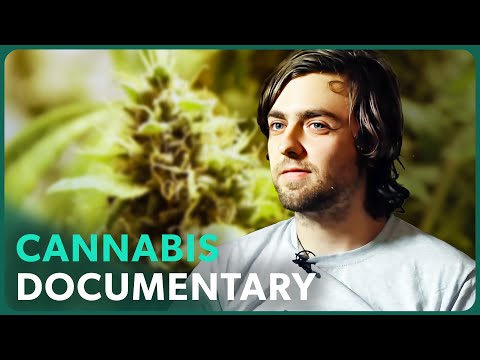 Grassroots: The Cannabis Revolution (Medical Documentary) | Real Stories thumbnail